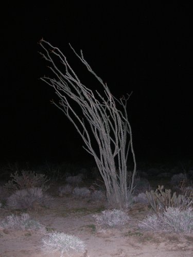 img003.jpeg.medium.jpeg