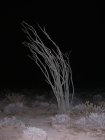 img003.jpeg.small.jpeg