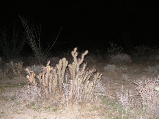 img007.jpeg.medium.jpeg