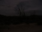 img009.jpeg.small.jpeg
