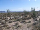 img022.jpeg.small.jpeg