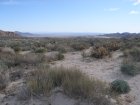 img024.jpeg.small.jpeg