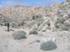 img032.jpeg.small.jpeg