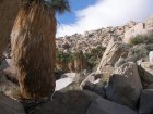 img038.jpeg.small.jpeg