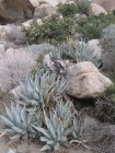 img044.jpeg.small.jpeg