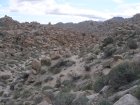 img045.jpeg.small.jpeg