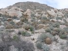 img002.jpeg.small.jpeg