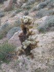 img003.jpeg.small.jpeg