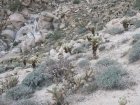 img007.jpeg.small.jpeg