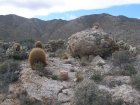img013.jpeg.small.jpeg