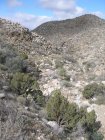 img017.jpeg.small.jpeg