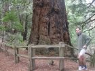 img003.jpeg.small.jpeg