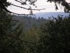 img004.jpeg.small.jpeg
