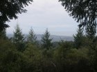 img005.jpeg.small.jpeg