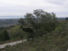 img030.jpeg.small.jpeg