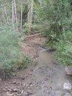 img033.jpeg.small.jpeg