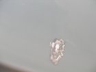 img015.jpeg.small.jpeg