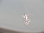 img016.jpeg.small.jpeg