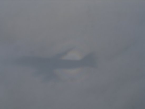 img054.jpeg.medium.jpeg